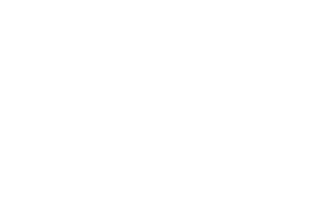 TED Talk